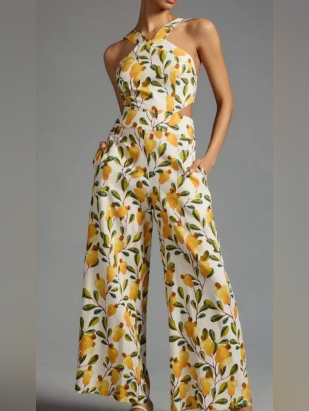 Farm Rio Fruit  Print Jumpsuit